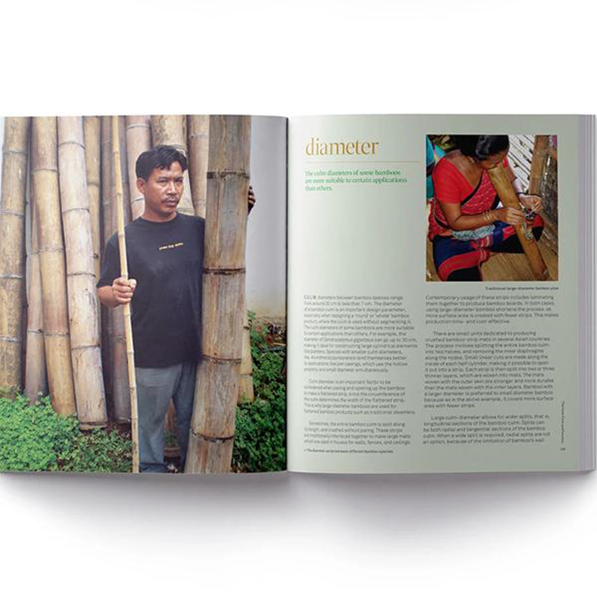 Bamboo: From Green Design to Sustainable Design By Rebecca Reubens (Hardback)