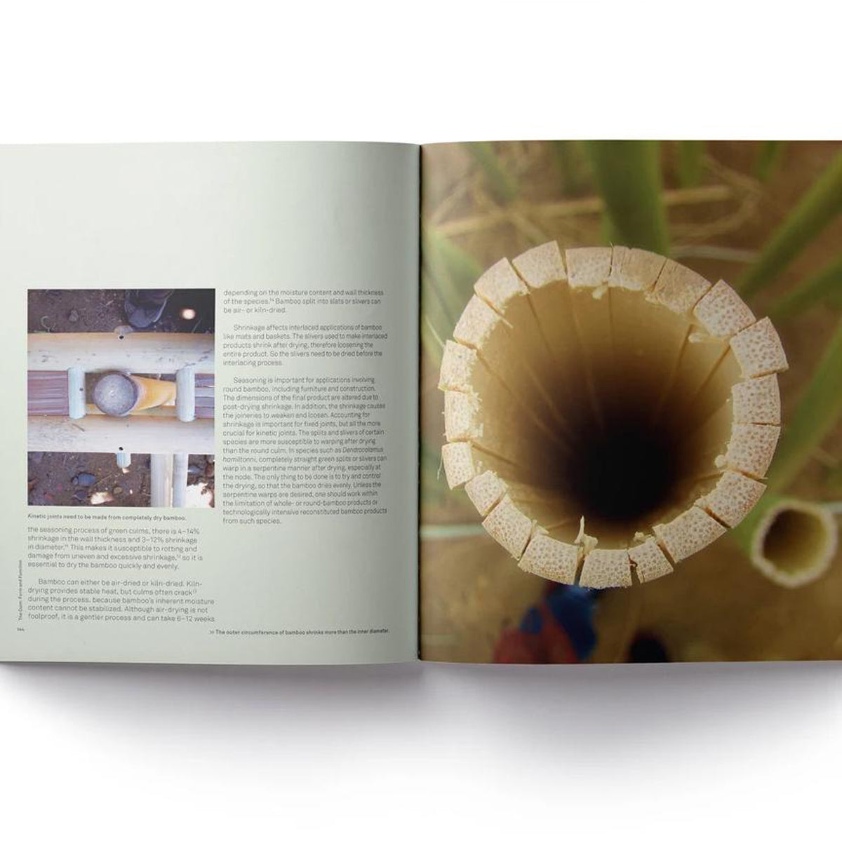 Bamboo: From Green Design to Sustainable Design By Rebecca Reubens (Hardback)