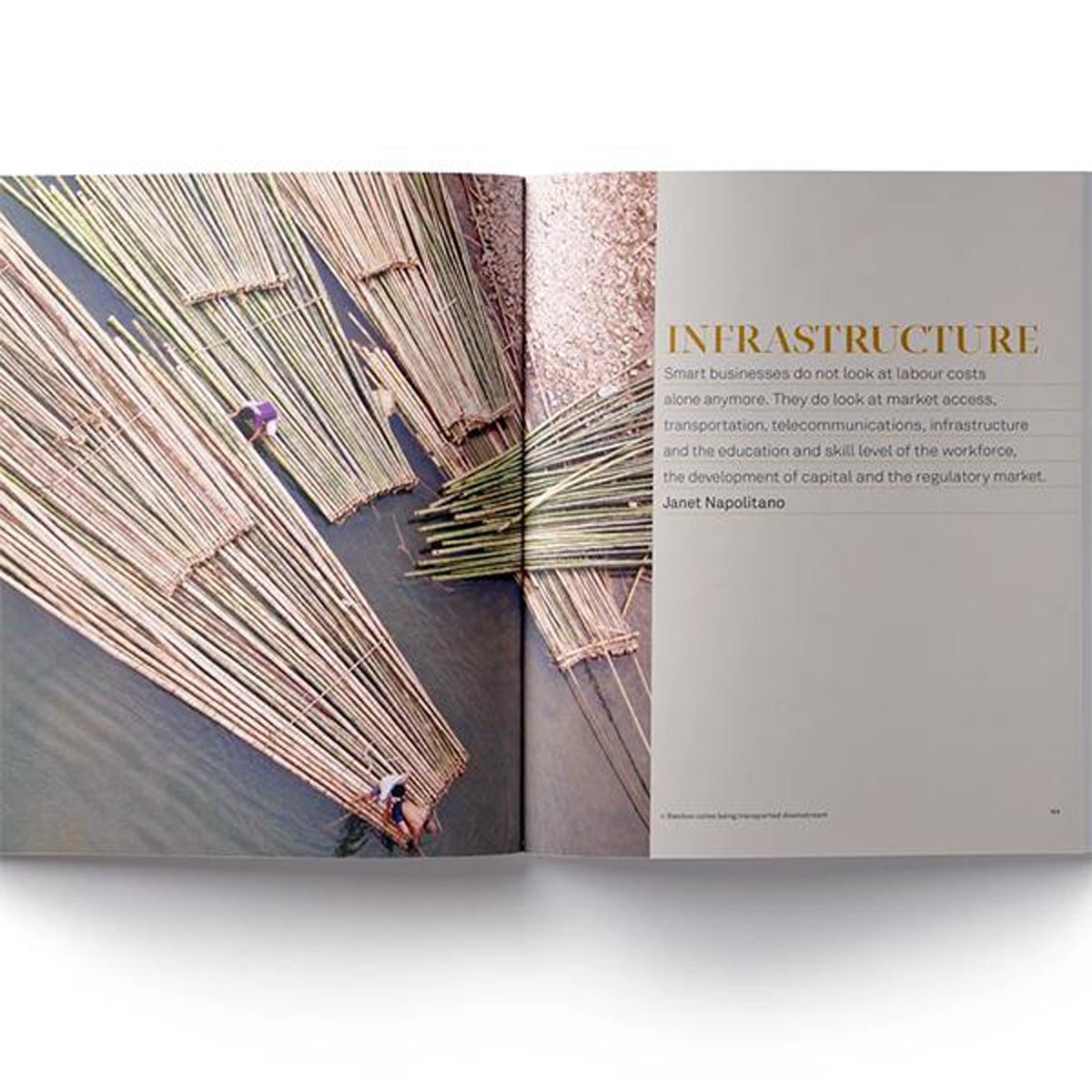 Bamboo: From Green Design to Sustainable Design By Rebecca Reubens (Hardback)