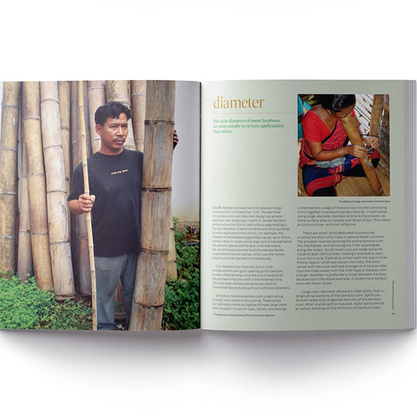 Bamboo: From Green Design to Sustainable Design By Rebecca Reubens (Paperback) - Rhizome