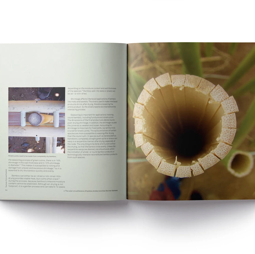 Bamboo: From Green Design to Sustainable Design By Rebecca Reubens (Paperback) - Rhizome