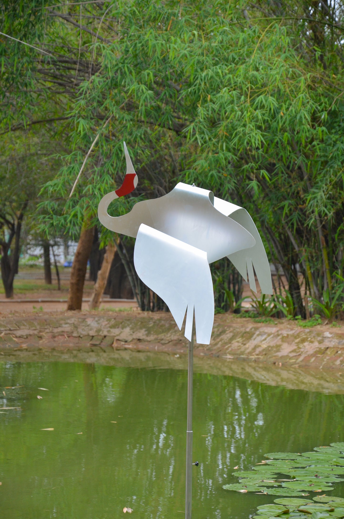 SARUS BIRD INSTALLATION