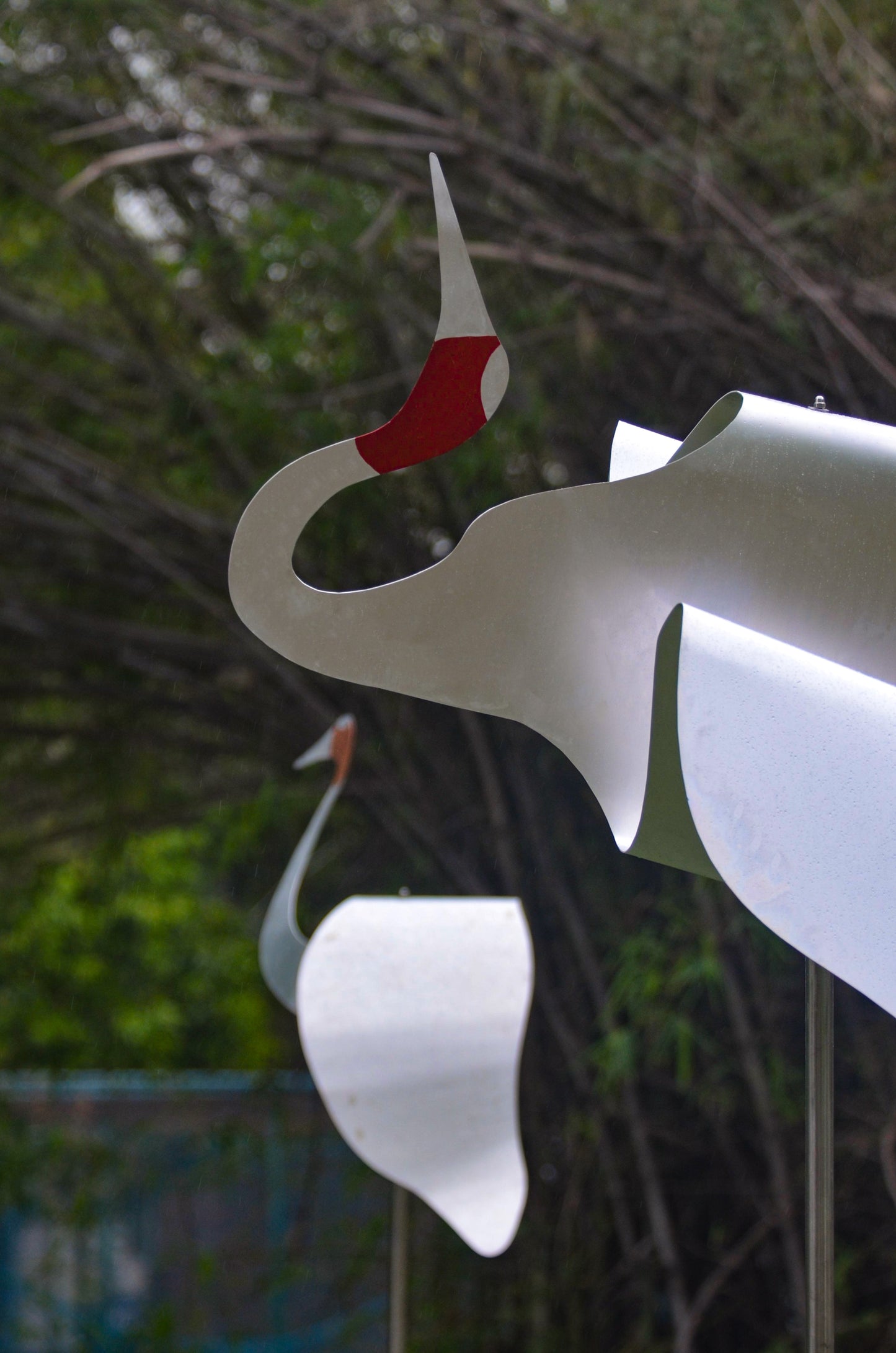 SARUS BIRD INSTALLATION