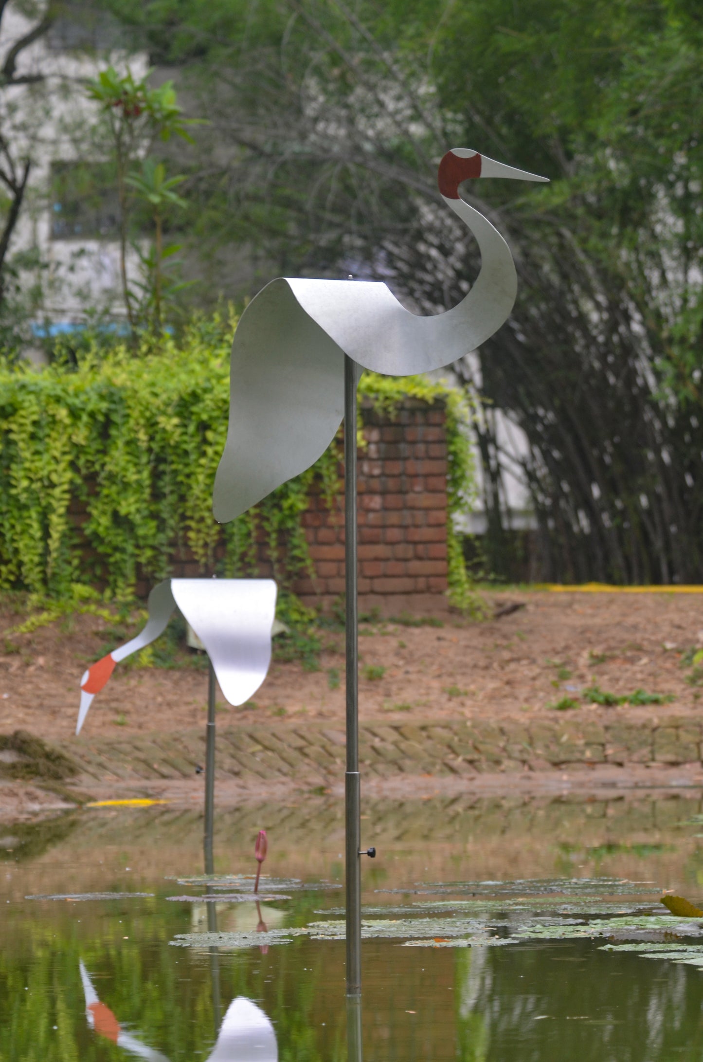 SARUS BIRD INSTALLATION