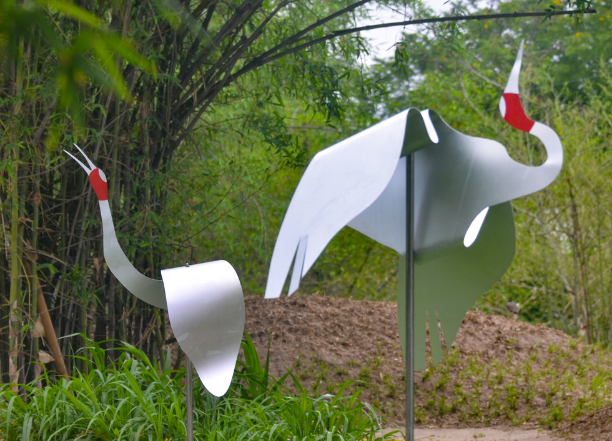 SARUS BIRD INSTALLATION